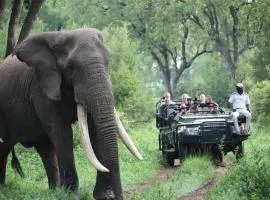 Karongwe Portfolio - Becks Safari Lodge