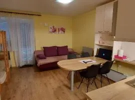 Apartma Rogla Gaber 110