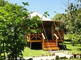 Ol Moran Tented Camp