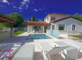 Modern villa Gloria Vita with pool in Novigrad