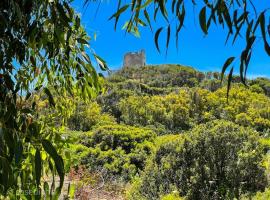 Torre di Chia Holiday Home, beach hotel in Chia