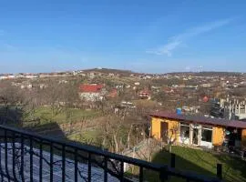 Casa Maya