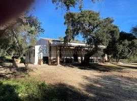 Casa Rural Los Murtales