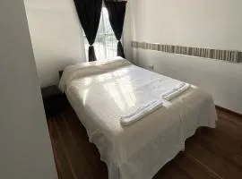 Duplex 919