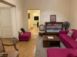 Prime location 2 bed rooms Apartment , near the Nile & Cairo Center