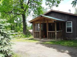 Maxwell's Mountain view Cabin, HOT TUB, wood stove, amazing views – hotel w mieście Naples