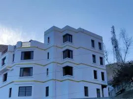 Hotel Apricot Inn kargil