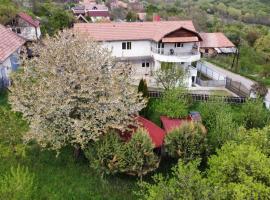 Countryside Home, hotel with parking in Prunis