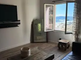 Cabanon sur la plage vue sur les Sanguinaires