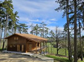 Le cottage des pins chalet sur les vignes, casa de campo em Bonneuil