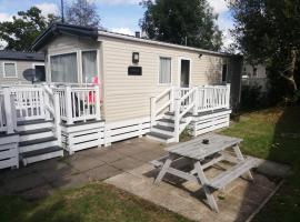 narcissus, campsite in Ferndown