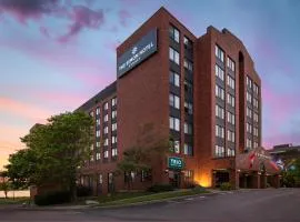 The Simon Hotel Sydney