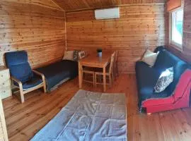 Apartament Wylatkowo - Powidz