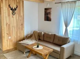 Hirsch Chalet Apuseni