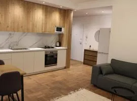 Simplicity Apartment