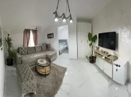 Airport vicinity Apartment Star 1