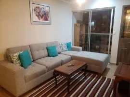 Central, petfriendly family apartment