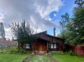 The Trout Streamm, villa in Gulmarg