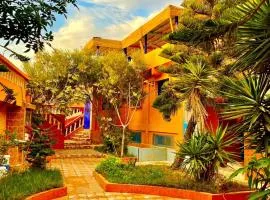 Surf & Salsa Ocean House