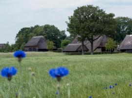 Gastenverblijf Lheederhof, loma-asunto kohteessa Dwingeloo