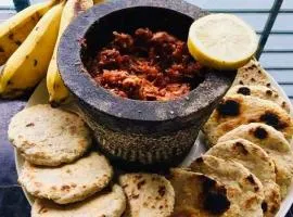 Monkey Jungle Cottage