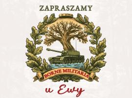 u Ewy apartament z balkonem dla 3 osób 2pokoje, Hotel in Borne Sulinowo