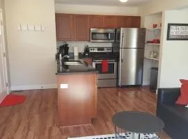 Heart of Traverse City Condo near Hospital