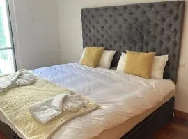 NICE and MODERN FLAT NEAR AIRPORT