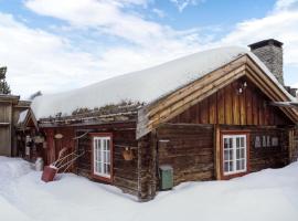 Pet Friendly Home In Rros With Kitchen, vacation home in Røros