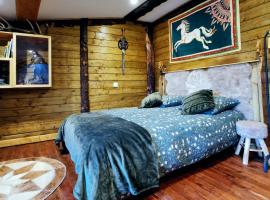 Suite privative Le seigneur des Anneaux Arnor, bed and breakfast en Vertaizon