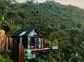 Selva Negra Cabins