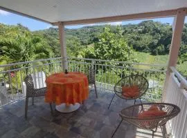 Appartement charmant à Rivière-Pilote - 30 m² avec terrasse