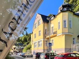 Vila Jáchymov, Hotel in Jáchymov