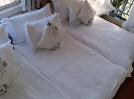 Tokyo downtown芍藥莊