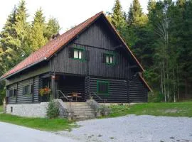 Brunarica Petric - Bela krajina - Komarna vas - Smučišče Gače - Semič