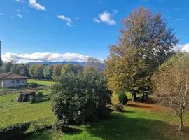 L'Oasi Amena