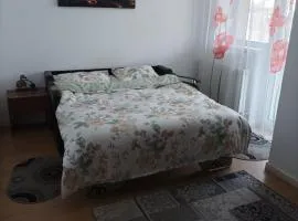 Apartament Alex