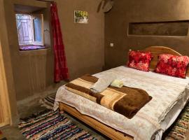 Authentic riad & activities Erg, hotel in Mhamid