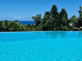 La Villa Ankarena Location de villa entière avec piscine privée à débordement sur parc aménagé Wifi TV Plage à 5 minutes à pied, hytte i Sainte Marie