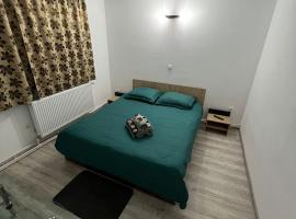 Garsoniera Casa Dragoeni, Targu Jiu, pet-friendly hotel in Târgu Jiu