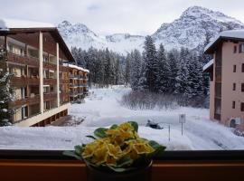 The Window to the Mountains, hotel di Arosa
