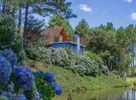 Casa de Campo - Alameda dos Pinus