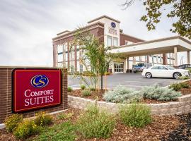 Comfort Suites Woodland - Sacramento Airport, hotel din Woodland