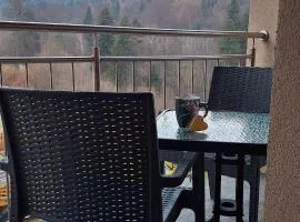 Skalnica- apartamenty z widokiem na góry, przy szlakach