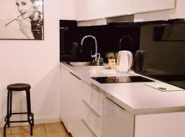 HomeComfort Apartament Merlin