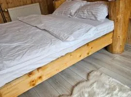 Charpatian Log Cabin Dragoslavele