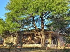 Hermosa casa amplia y luminosa