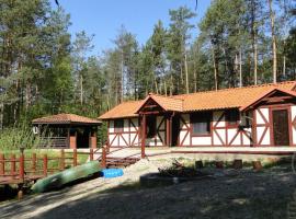 Dom nad Stawem - ALEX, дом для отпуска в городе Stara Kiszewa