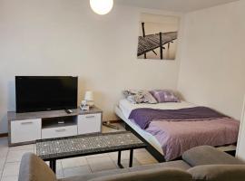 Joli Studio, apartamento en La Chaux-de-Fonds