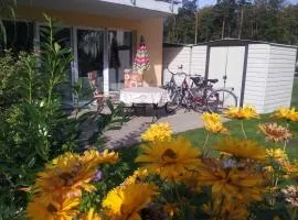 Waldblick Fewo Noeske - GM 69606